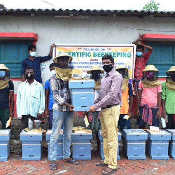 distribution_of_beehives_under_national_beekeeping_and_honey_mission_nbhm_of_national_bee_board_under_goi