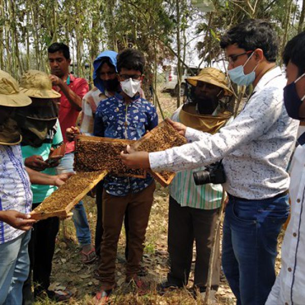 training_on_migratory_beekeeping_with_apis_mellifera_for_the_rural_youths_of_sundarban