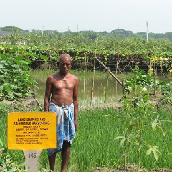 a_successful_farmer_with_his_land_shaping_plot_demonstrated_through_rkvy_project_of_dept._of_agril.,_gowb