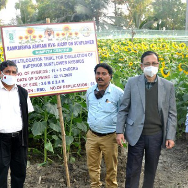 visit_of_state__central_govt._officials_in_the_trial_plots_of_sunflower_hybrids_under_rakvkaicrp_on_sunflower